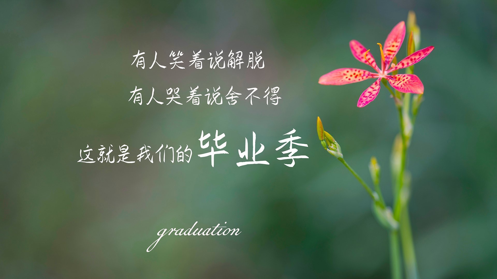 爱游戏大厅-罚球线前的两种时间，当卡拉斯科为智利足球按下快进键