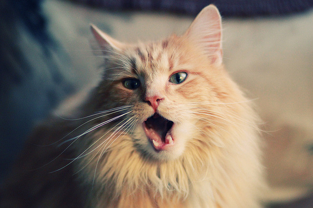 唯一的中距离大师对决,德罗赞闪光难阻快船团队风暴