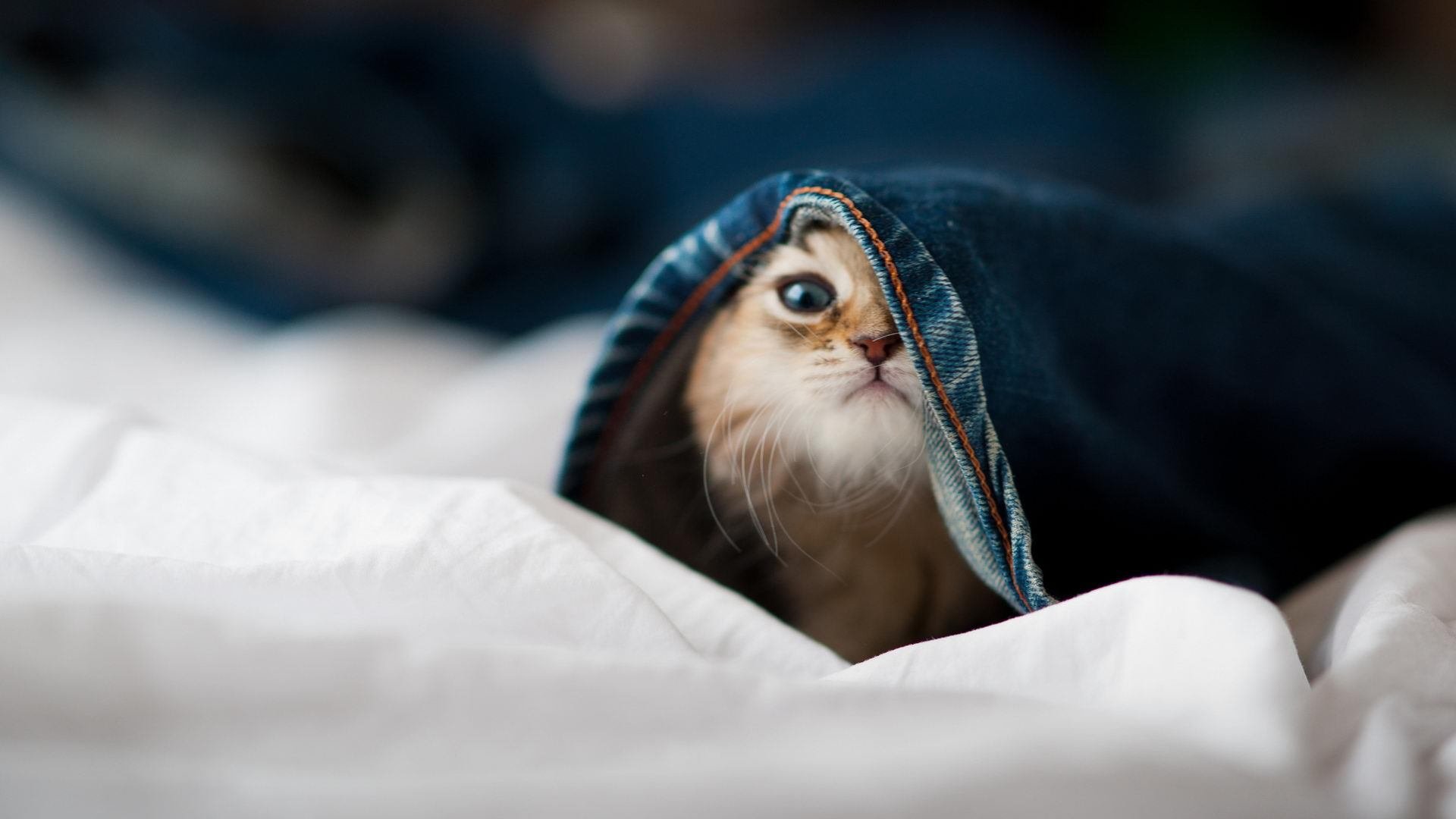 爱游戏-奥亚尔萨瓦尔爆发引领奇迹夜，巴拉圭加时鏖战力克那不勒斯，友谊赛铸就传奇