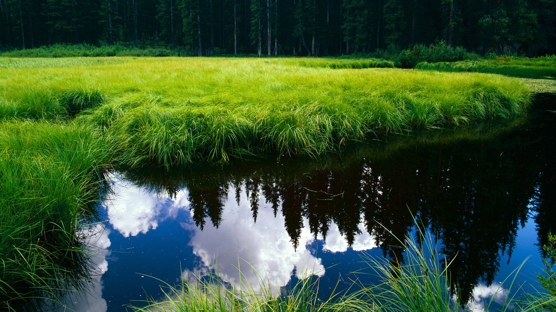 爱游戏官方入口-从门前炸弹到叹息之墙，2026世界杯之夜，奥纳纳如何用双手封神