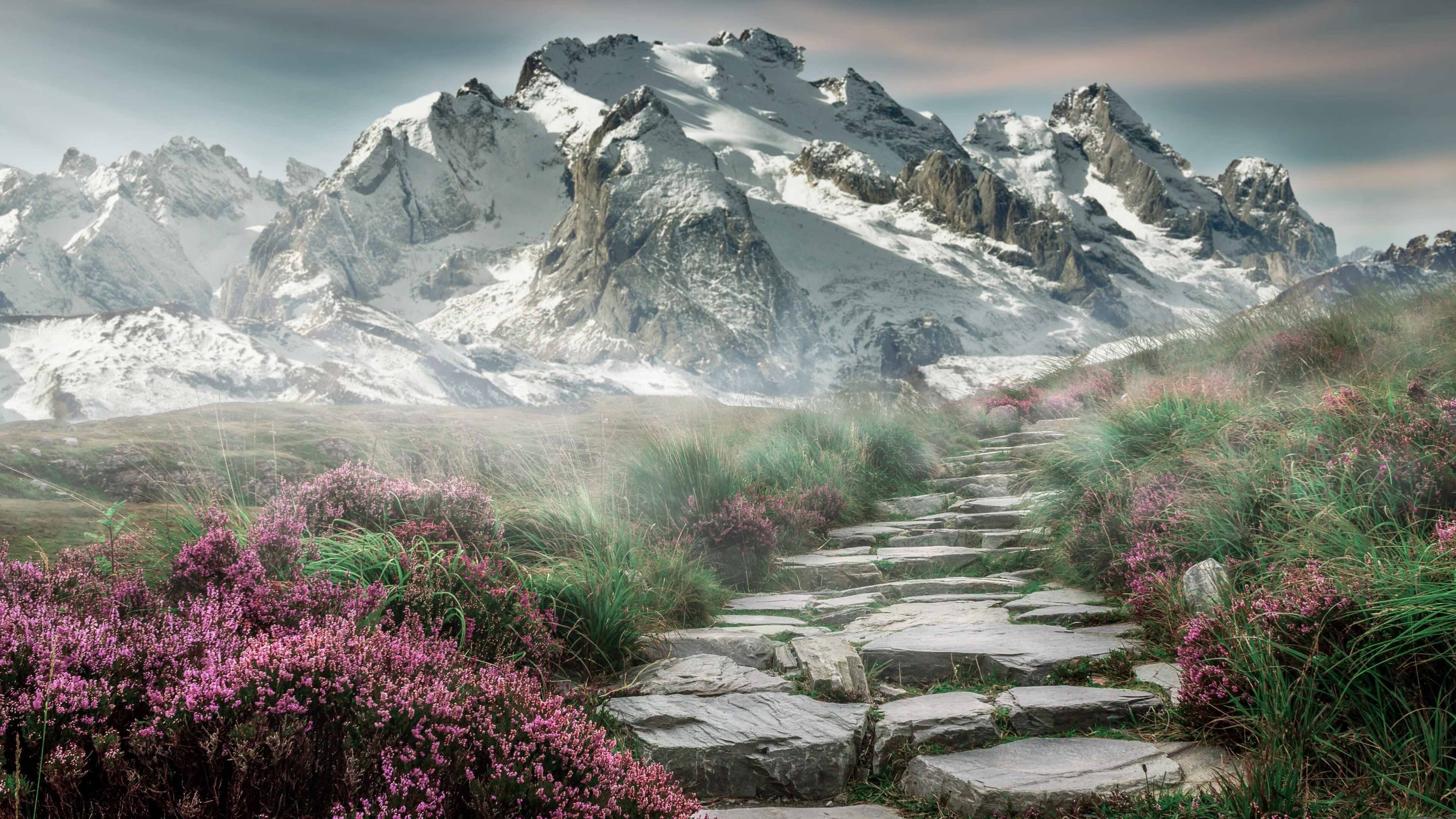 阿尔瓦雷斯三线爆发，贝蒂斯强势晋级之路令阿森纳警醒