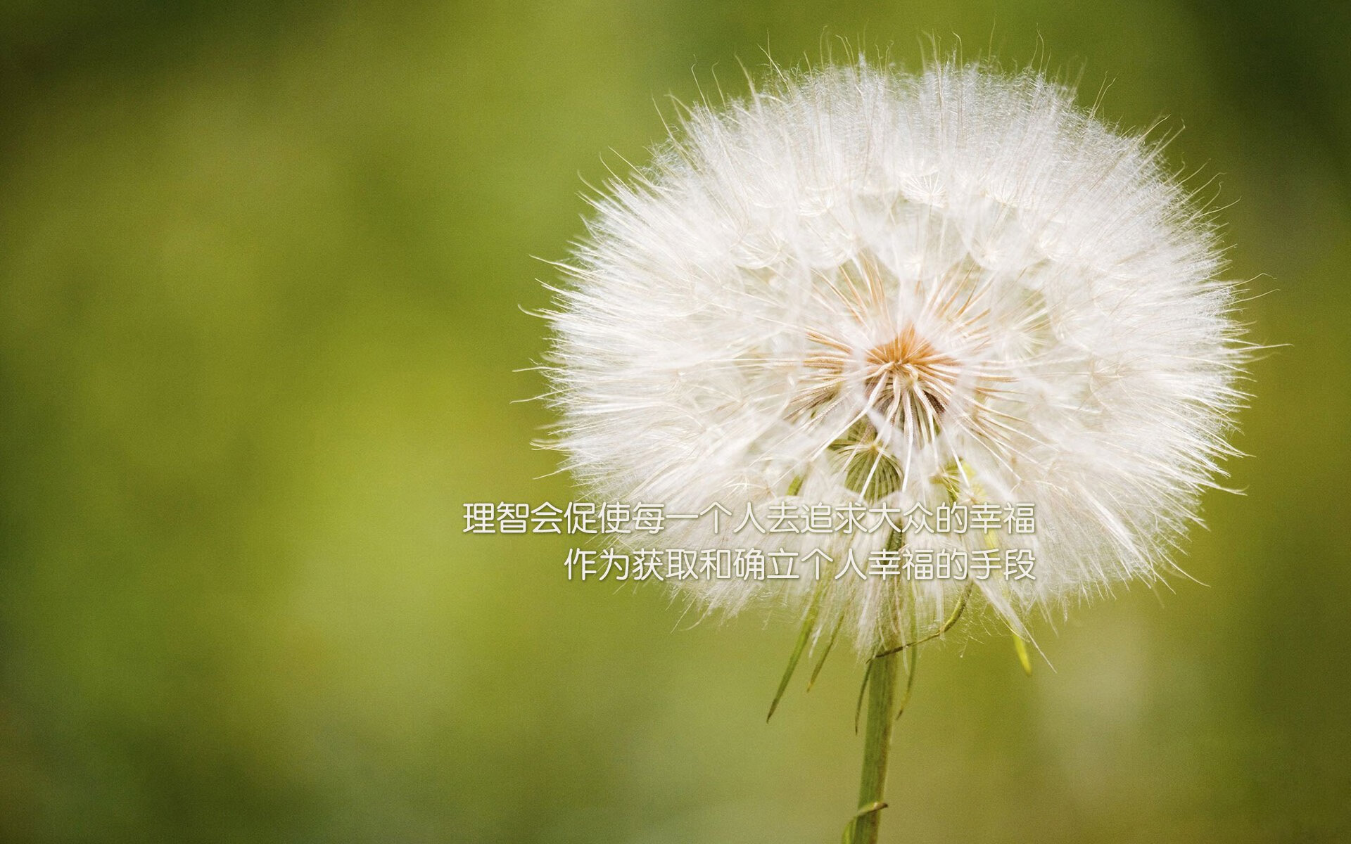 爱游戏官方入口-南美雄鹰的致命一击,2026世界杯B组焦点战,坎塞洛主导战术革命,厄瓜多尔绝杀喀麦隆