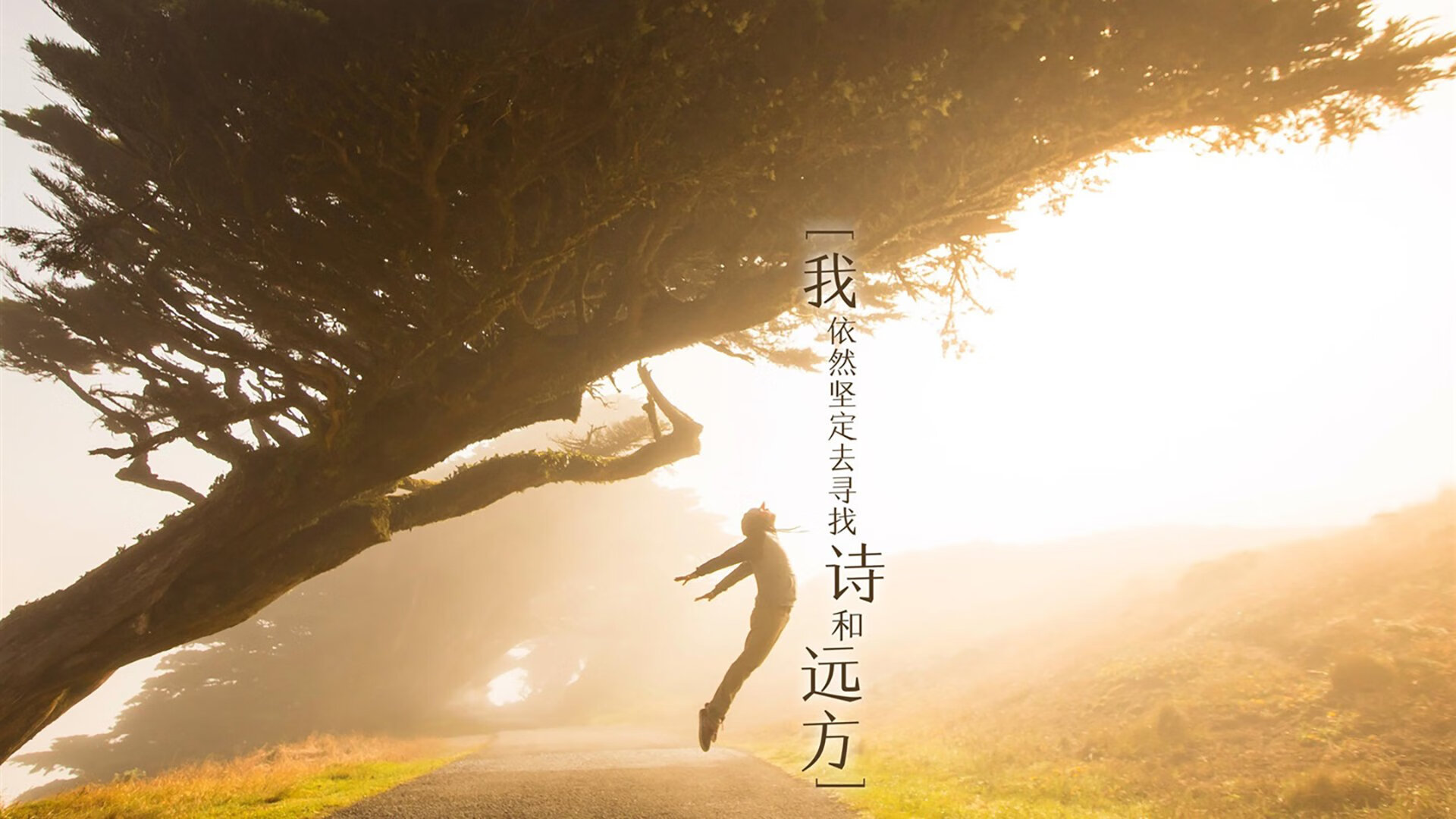 2026,历史的回响—当碾压成为唯一答案,法国与英格兰的宿命重演