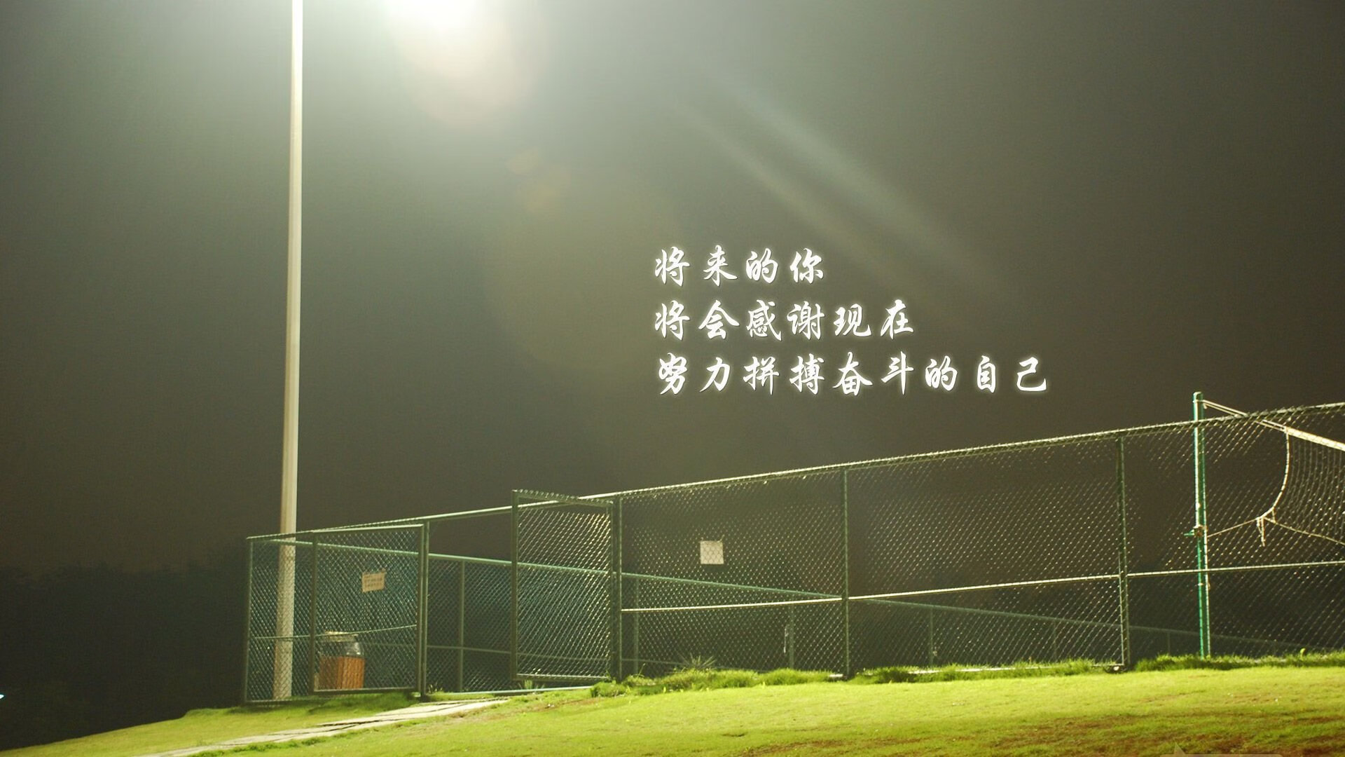 爱游戏入口-绝杀之夜，保加利亚力压加纳，苏亚雷斯独领风骚—世界杯头名之争的唯一剧本