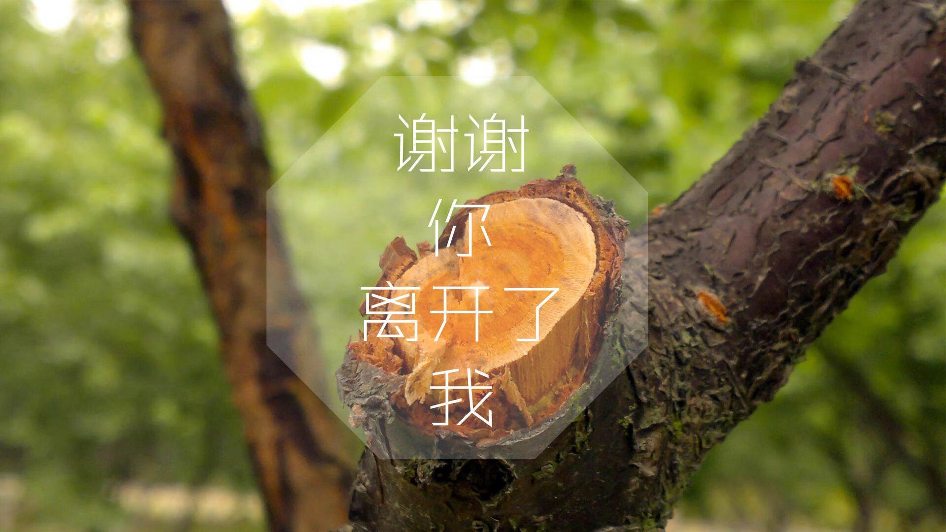唯一的主宰,当喀麦隆的钢铁防线与格列兹曼的致命一击,在2026世界杯B组写下唯一答案